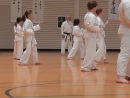 Karate Lehrgang 2012 - Kata Spezial in Wangen.