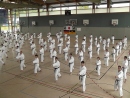 Karatelehrgang Tauberbischofsheim 2013